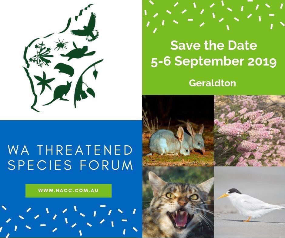 RichardMcLellan's tweet photo. Call for Abstracts: Just 2 weeks left to send-in your abstract for the 2019 WA Threatened Species Forum:
5-6 September, Geraldton, Western Australia
https://t.co/vaJoZWxOa2
Please RT 
#ThreatenedSpecies 
#ThreatenedEcologicalCommunities
#TSforumWA https://t.co/ysWPFeCK4Z