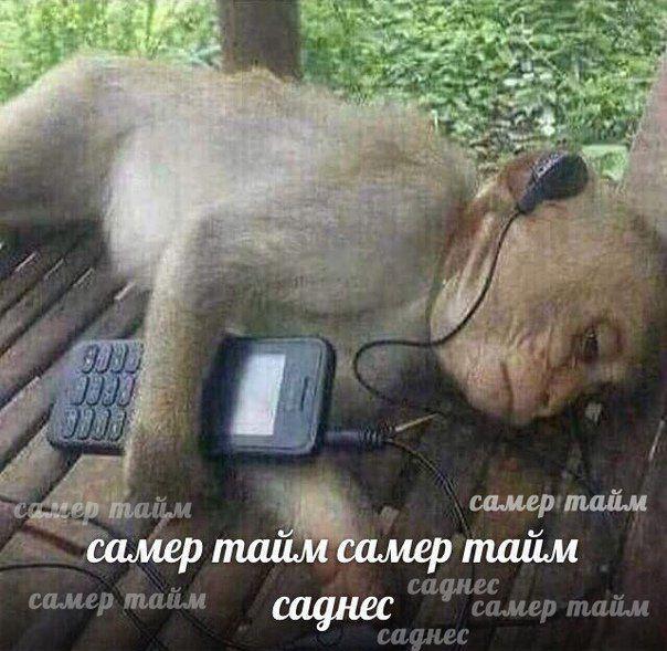 D_lOiL8XUAAhoSn.jpg:large