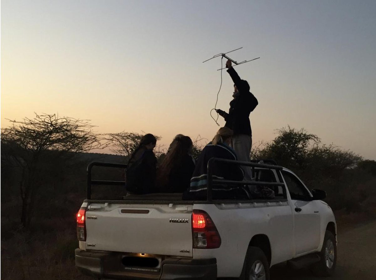 loveAfrica_'s tweet photo. ON THE @Blood_Lions Blog:
LIVE WILD Lion Monitoring – Blood Lions https://t.co/MK72cfpFBf #BornToLiveWild https://t.co/8w0Dgdk1Dj