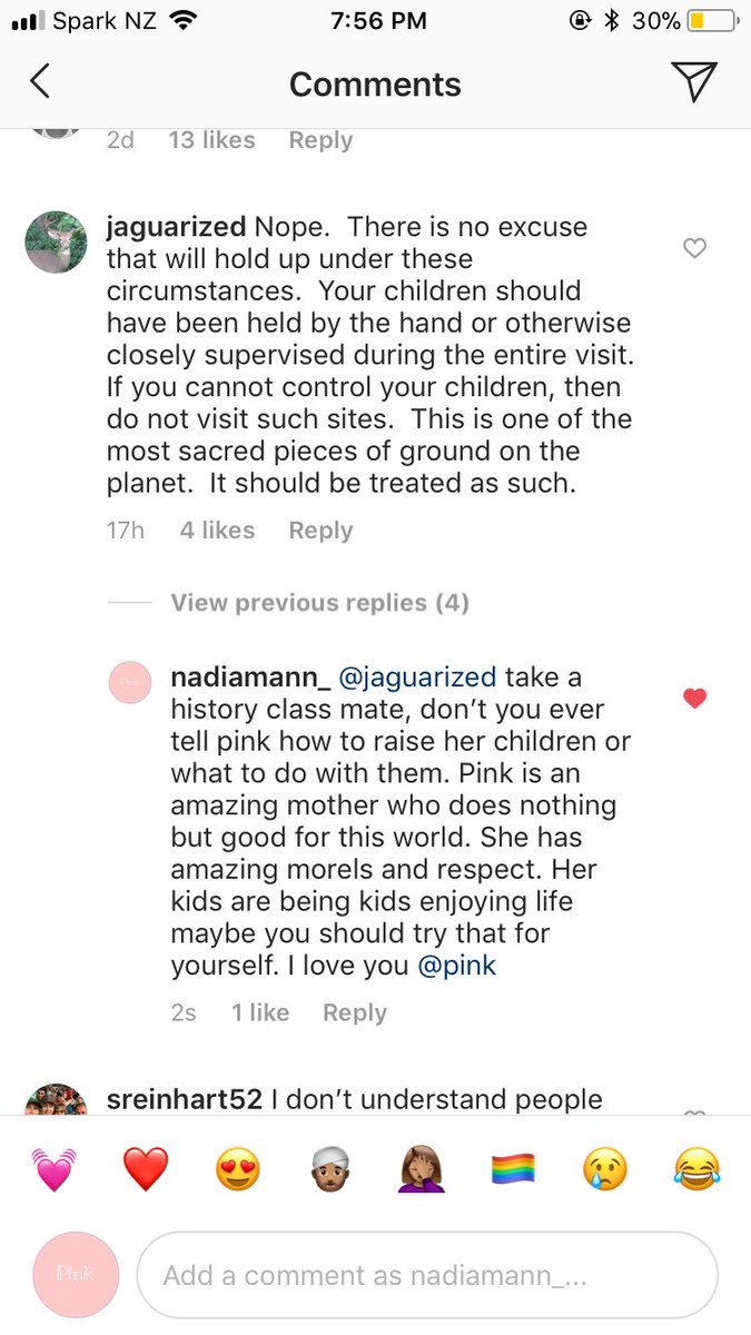nadiamann_'s tweet photo. So over all the trolls out there hating on pink. PINK is the best person. She has made millions of people’s lives better. I’m so done with all the haters. I don’t usually Reply to them but today I felt the need to. I will always love you @Pink no matter what💓💓❤️ #pink https://t.co/zWhUVaTPh1