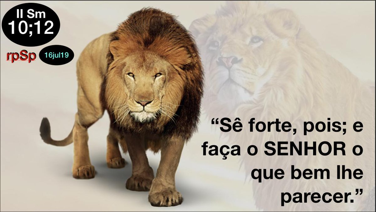 prwalmeida's tweet photo. #2Sm10| Da mesma exaltada fonte - o poderoso General dos exércitos do Céu - todo verdadeiro soldado da cruz de Cristo deve receber força e coragem para vencer obstáculos que muitas vezes parecem intransponíveis."(CEv, 117). Fp 4:13 https://t.co/T613Zza5rL