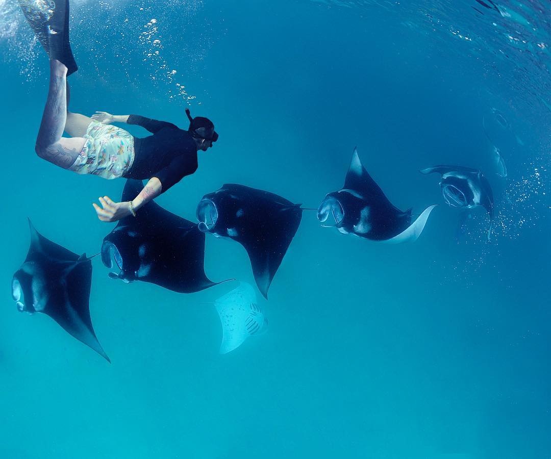 Dive in Nusa Penida.
—
You may know how exciting to have days in Nusa Penida. How about spend some time to dive with the Manta at Manta Point? Sea you!
📸 Photo by: ohh_tsubo
#dodivenow #enyelam #mantapoint #nusapenida #bali #scuba #scubadiving #dodive #indonesia  #underwater