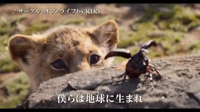 監督&ドナルド・グローヴァ―大絶賛の「#サークルオブライフ」🎵
新人女性アーティスト<RIRI>による日本版オフィシャルソング解禁‼
RIRIさんのソウルフルな歌声に #シンバ 役ドナルド・グローヴァーも「本当にビヨンセみたいだ‼」と絶賛✨
詳細→https://bit.ly/2YVxlzn #超実写ライオンキング