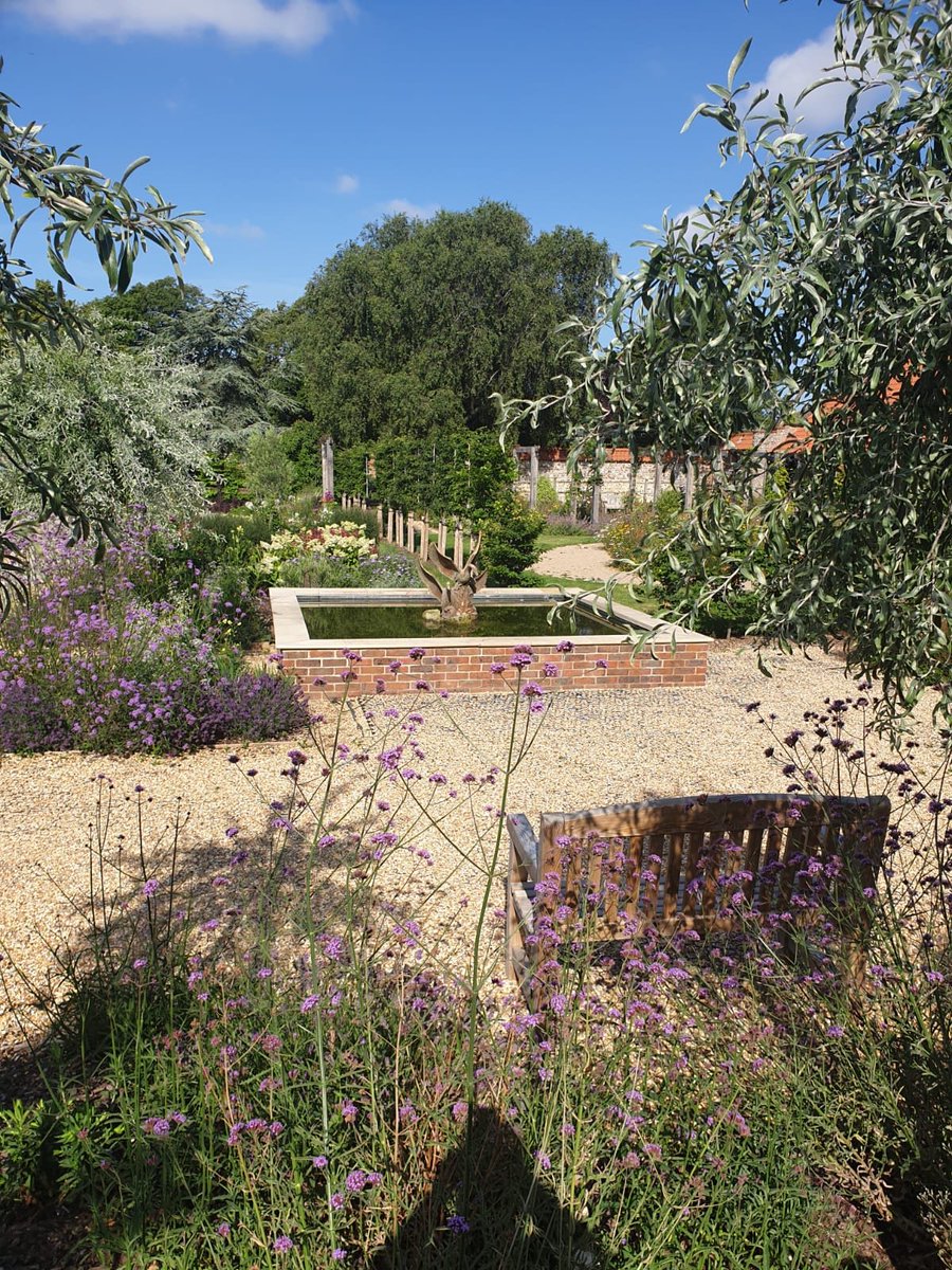 Rowan Ward tweet media