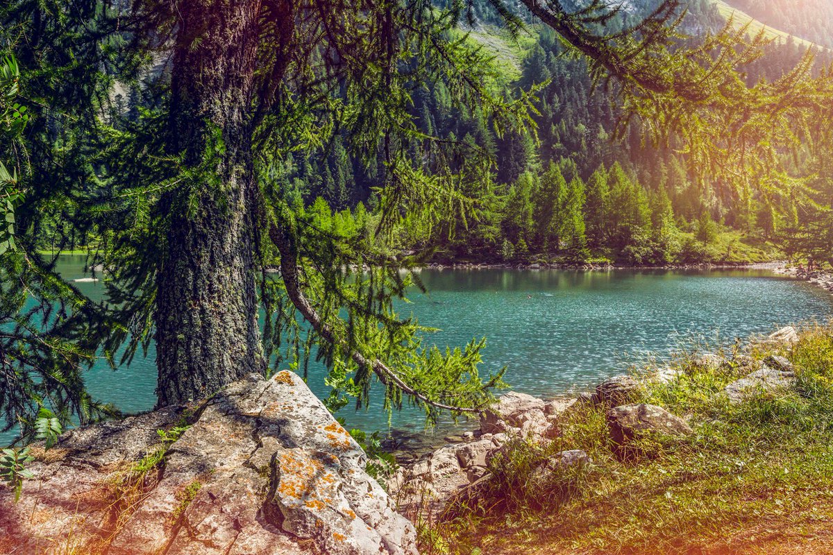 valaiswallis's tweet photo. Was gibt es Schöneres, als nach einer langen #Wanderung in schweren #Wanderschuhen die #Füsse im klaren #Wasser eines @valaiswallis #Bergsees zu kühlen? https://t.co/cKkYxZW3lU #MeinSommerImWallis https://t.co/YEtUDPW3Do