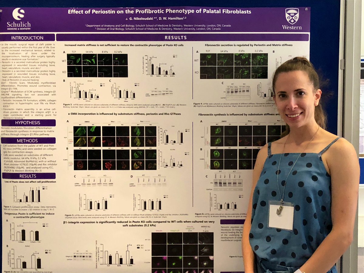 HamiltonLab1's tweet photo. @GeorgiaNikolou1 presenting her poster at FASEB 2019 in Lisbon
#faseb @FASEBorg #matricellular #conference #AcademicTwitter #science https://t.co/kPvQfQyziB