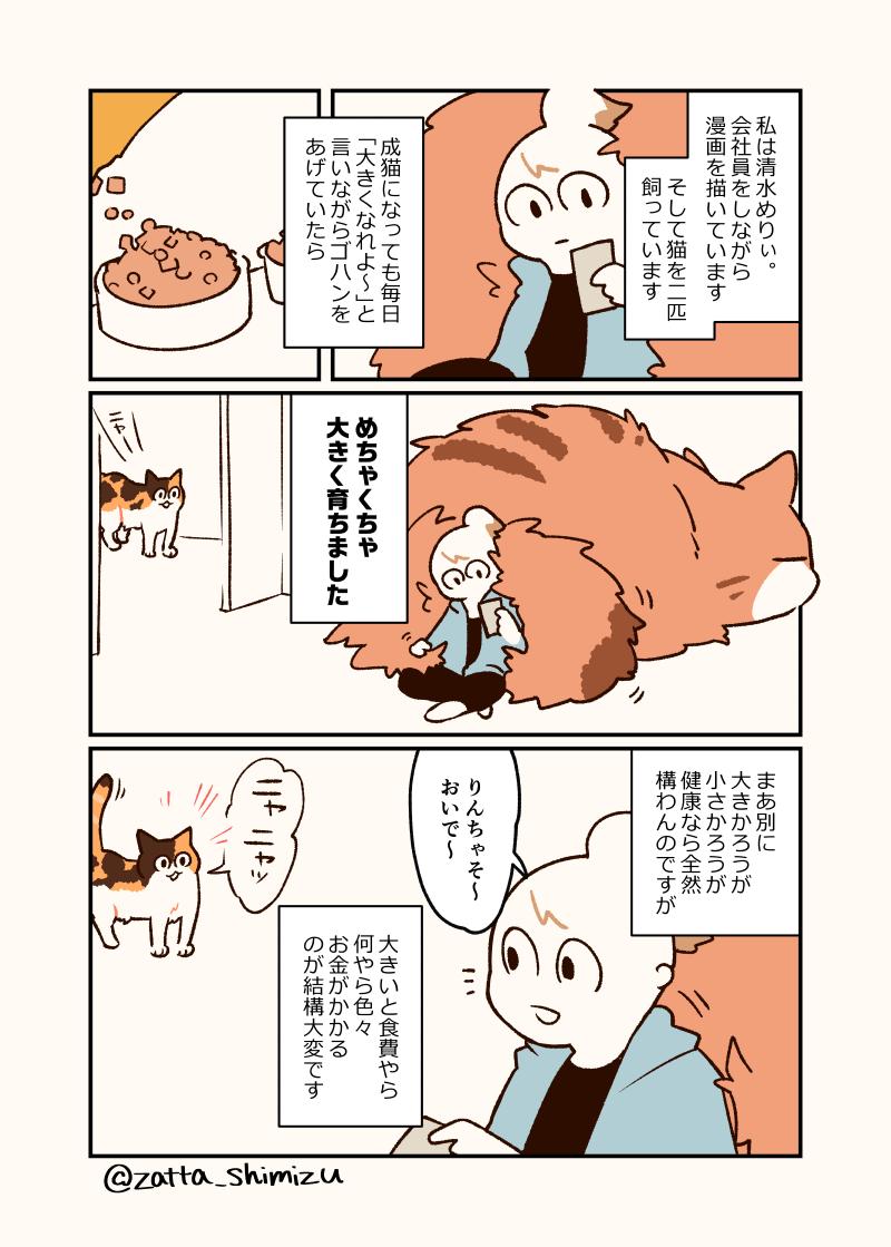 【創作漫画】
ほんのちょっとだけ嘘が混じった猫と私のエッセイ漫画です

#創作漫画　#猫漫画　#どこが嘘かな 