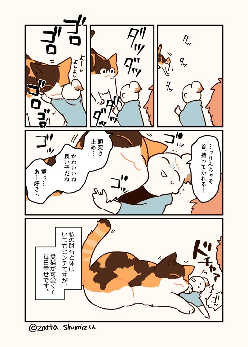 【創作漫画】
ほんのちょっとだけ嘘が混じった猫と私のエッセイ漫画です

#創作漫画　#猫漫画　#どこが嘘かな 