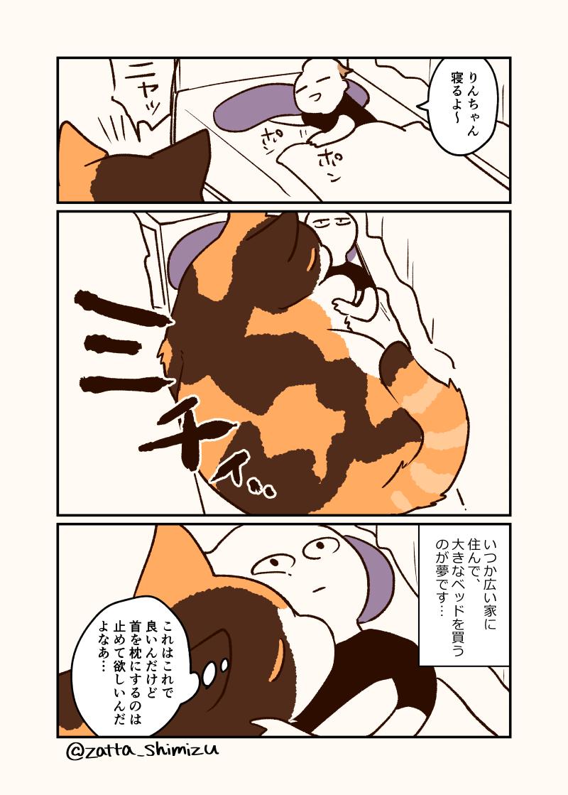 【創作漫画】
ほんのちょっとだけ嘘が混じった猫と私のエッセイ漫画です

#創作漫画　#猫漫画　#どこが嘘かな 