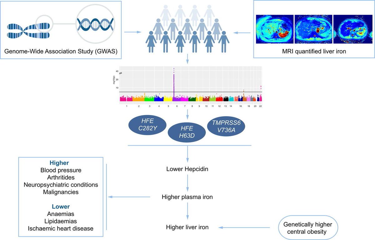Constantinos Parisinos PhD, MRCP tweet media