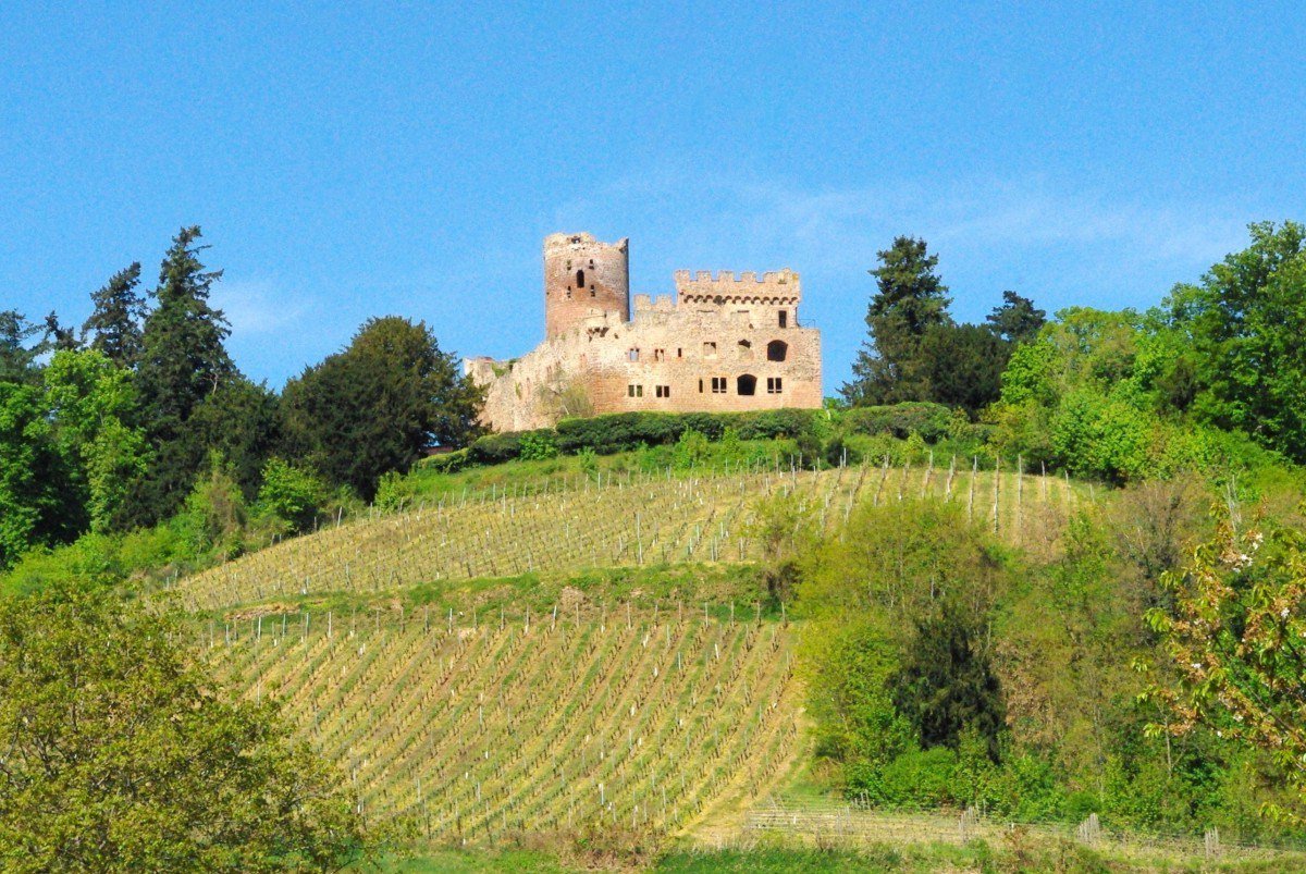 Cet été, partez à la découverte des plus beaux châteaux-forts d’#Alsace !
C’est sur le blog 👉🏻 mon-grand-est.fr/chateaux-forts…
.
#ChâteauFort #VisitAlsace #FrenchMoments #MonGrandEst #EnFranceAussi #JaimelaFrance #MagnifiqueFrance #Ferrette #HautKoenigsbourg #Kintzheim