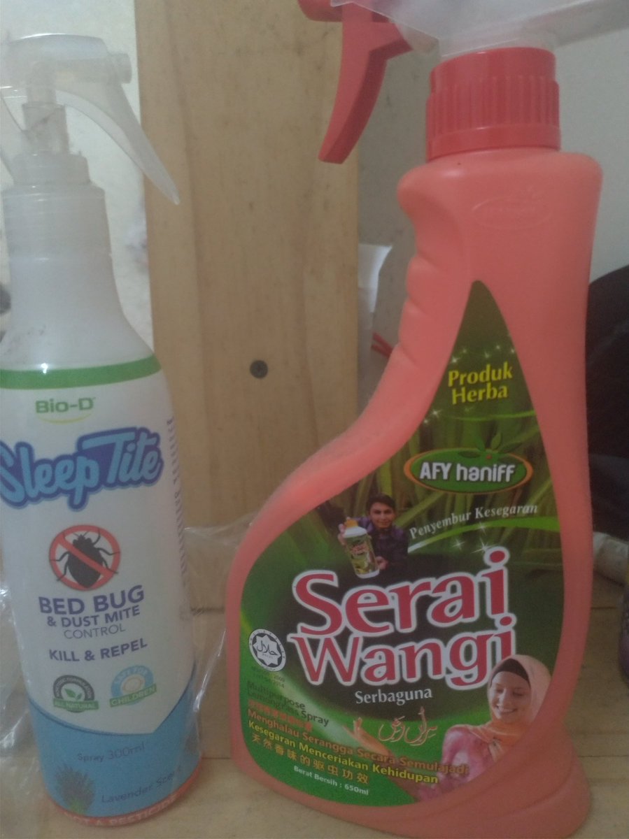 Cara Halau Pepijat  kuih baru