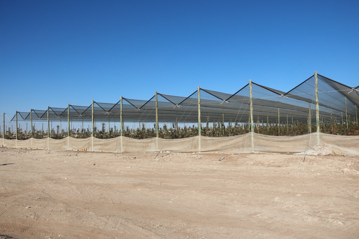 NamPresidency's tweet photo. President @hagegeingob completed a visit to the Roots Agricultural Village in #Stampriet, a project that currently employs about 85 Namibians, built on the model of food security, education and exporting of high value products. https://t.co/5X3Ip9HHOV
