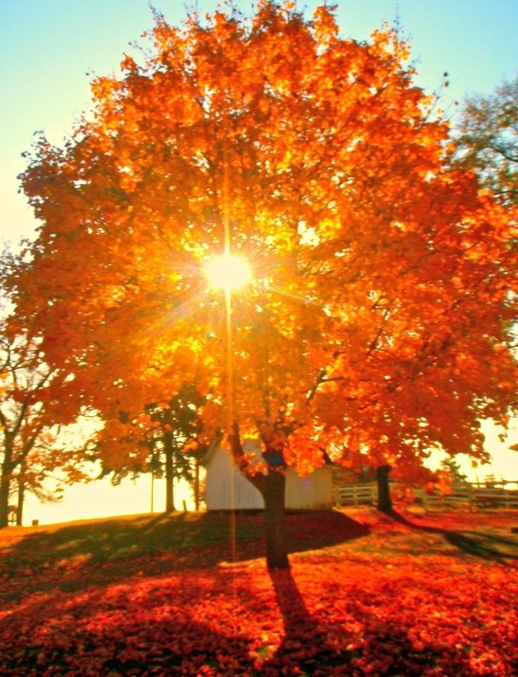 ajwani_harish's tweet photo. @ramblingsloa @Sandrikovich61 "When you start
 each day with a
 grateful heart , 
 light illuminates
 from within."
           --Unknown https://t.co/Li8D1DNskh