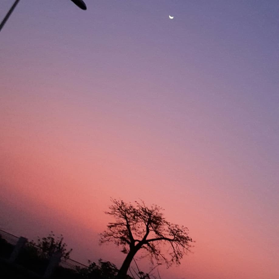 Guelne32's tweet photo. Minhas obras 😂❤ sem edições!
#pictures #photography #photo #fotografia #NaturePhotography #natureza #Africa #Angola #sequele https://t.co/zRJHy08O41