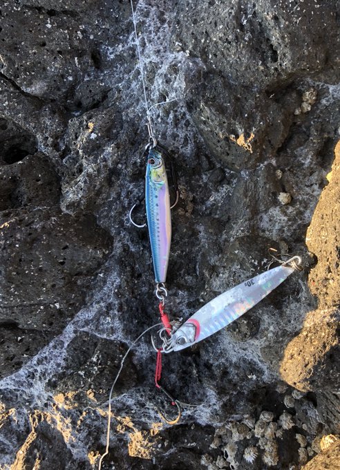 メタルジグでメタルジグが釣れました('・ω・`)
DUO顔してるな…('・ω・`) 