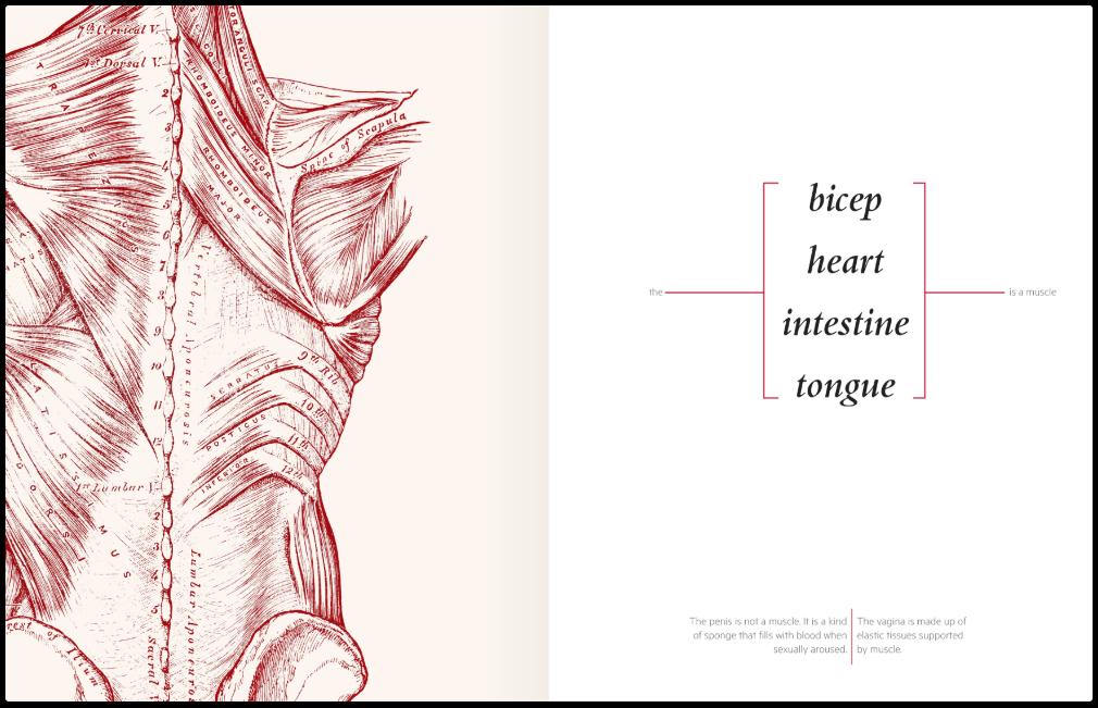 CAPPnetwork's tweet photo. Corpography is a limited edition art book devised by Anna Furse. It draws on the digital artwork I Am Not A Piece Of Meat commissioned by @CreateIreland and @CAPPnetwork. There are analogue version as well as digital book. To read: https://t.co/PDsdopamDR #CAPPnetwork https://t.co/PczINtW8cb
