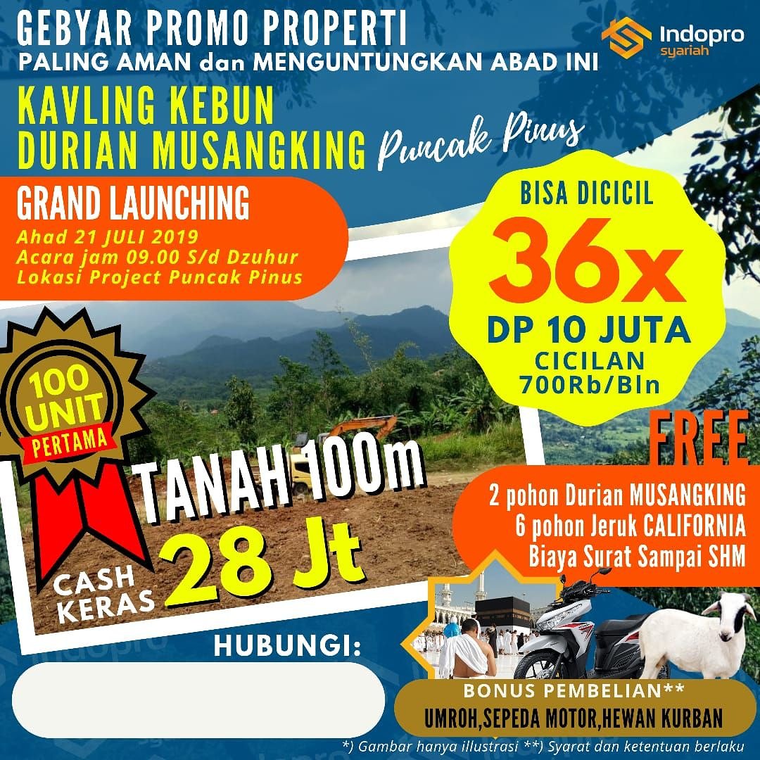 Kavlingdurenmusangking Hashtag On Twitter