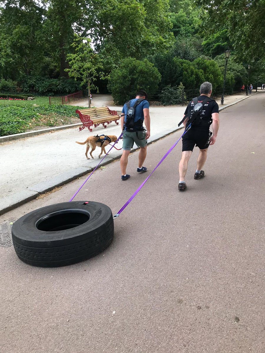 Getting the miles in...laps of <a href="/batterseapark/">Friends of Battersea Park</a> preparing for the truck pull in September! I had to stop for ice cream on the second lap, ran out of steam 🤦🏻‍♂️ Thanks to @naterasmus for picking up the slack! <a href="/MindCharity/">Mind</a> <a href="/UK_COPS/">COPS</a> <a href="/strengthshop/">Strength shop</a>