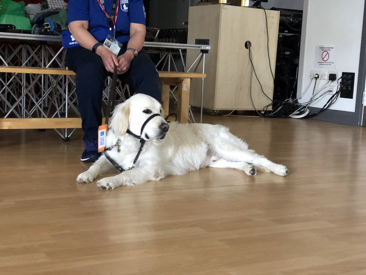 centralwalkerce's tweet image. Meet Vance, a trainee guide dog. Vance provides help for people who can’t see. Vance helps people at home, at work and out and about! Vance can even press the button at the pedestrian crossing with his nose! 💖 #guidedogs #guidedogscharity