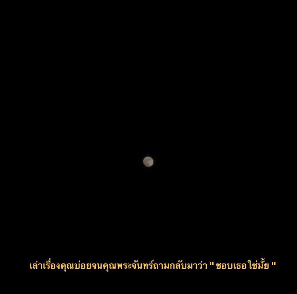 ɹǝd tweet media