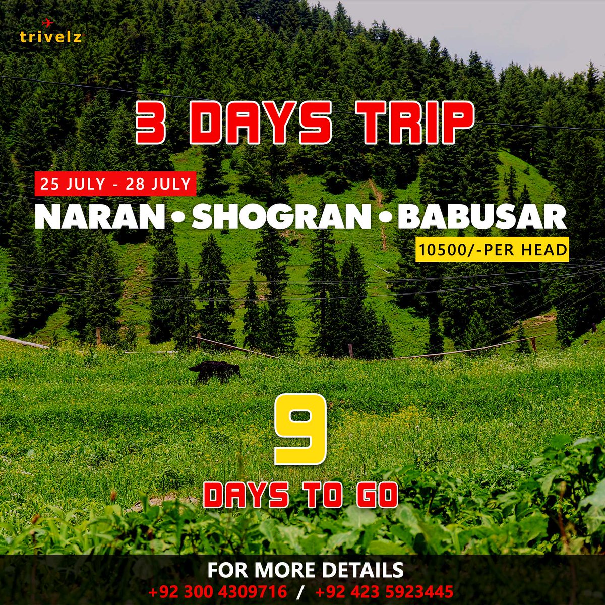 9 days left for the beautiful trip to Naran, Shogran, Babusar.
Book your trip now!
📱 0320-1010019, 0336-4309716, 0300-4309716
#VacationsPlan #Trips #Tourism #pakistan #pakistantourism #travelandtourism #worldtour #vacations #holidays #naran #shogran #babusar