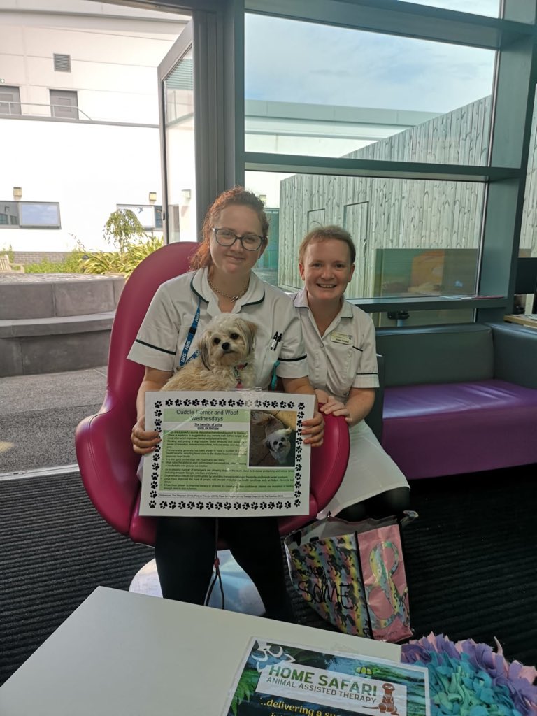 RGN-Team tweet media