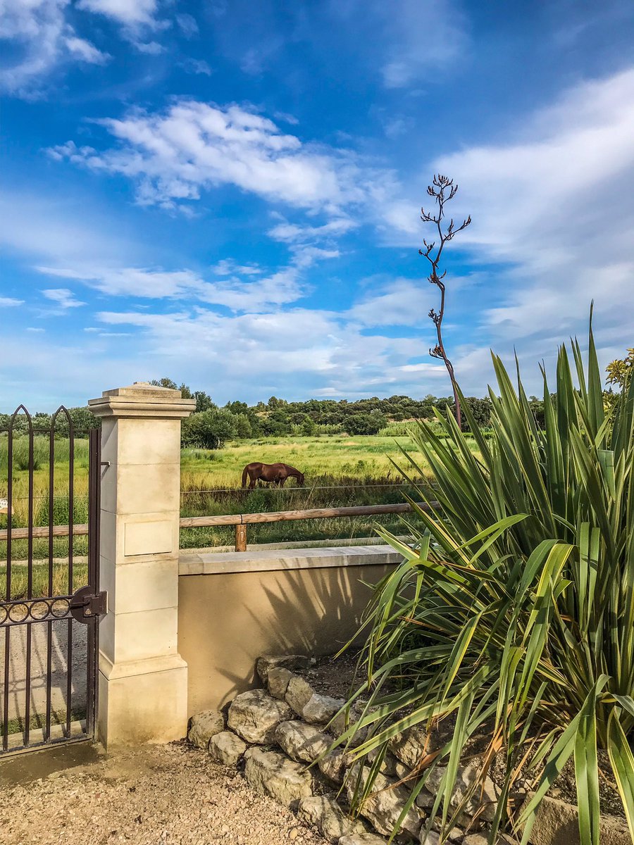 Quand vient l’heure du déjeuner au Prieuré 🌼 #closdeloratoiredespapes #maisonogier #choregiesdorange #nature #provence #mountain #ventoux #pond #oogier #fatboy #flowers #horse                          <a href="/choregies/">Chorégies d'Orange</a> l @chateau9dupape instagram.com/p/Bz-S6HBiuFJ/…
