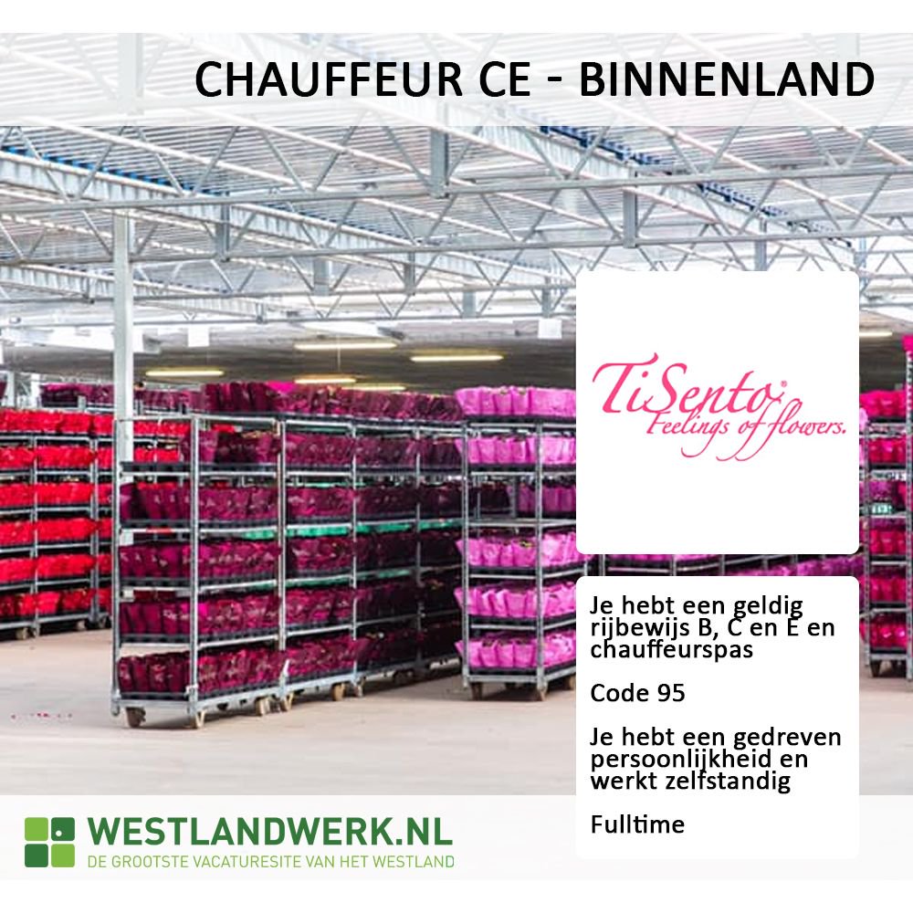 Westlandwerk's tweet photo. Bekijk #vacature Chauffeur CE - binnenland @TiSentoPlants in De Lier op https://t.co/kakTDrASwk via https://t.co/qtnVWWp2fy https://t.co/JDRoCkjNuZ