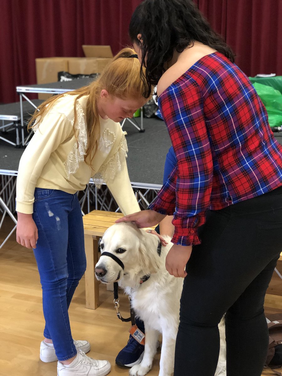 centralwalkerce's tweet image. Some of our Year 6 meeting the amazing Vance! 😍 Year 6 learnt that although they were allowed to stroke Vance today, it is really important that they do not go to stroke any working guide dogs. 💖🐶💖 #guidedogscharity #guidedogs