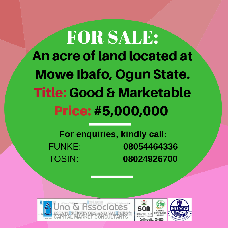 Una_Associates's tweet photo. FOR SALE:

An acre of land located at Mowe Ibafo, Ogun State.

Title: Good &amp; Marketable

Price: #5,000,000

For enquiries, kindly call:

FUNKE: 08054464336

TOSIN: 08024926700 https://t.co/8eblqcLFYv