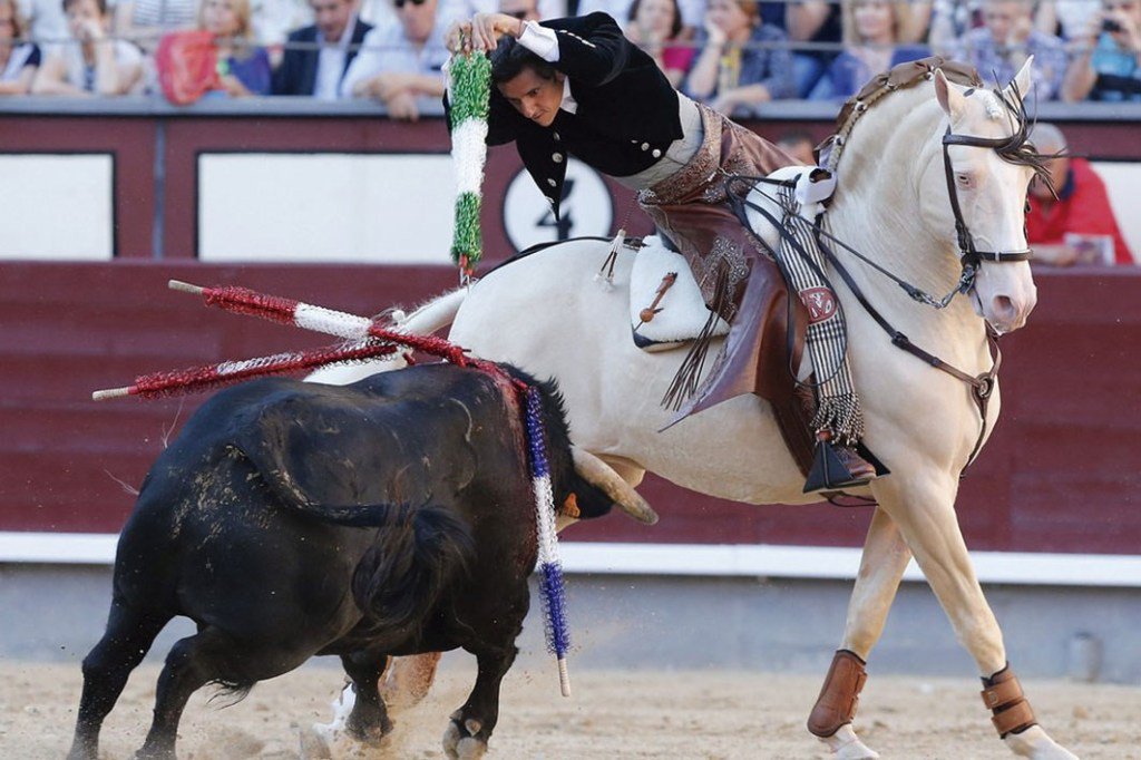 deltacantabria's tweet photo. FERIA DEL NORTE – DOMINGO 21 https://t.co/15R0DCarx3 https://t.co/IEDjDSnJGl