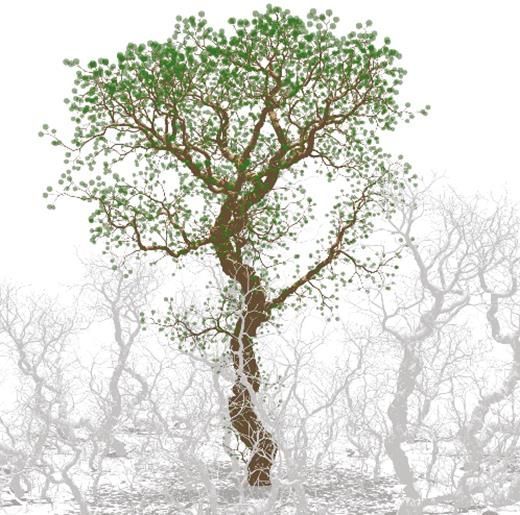 Posture control in land plants: growth, position sensing, proprioception, balance &amp; elasticity bit.ly/32u9ZTR Moulia et al. #plantbiomechanics
A review on how plants establish and adjust their balance and three-dimensional displays in air