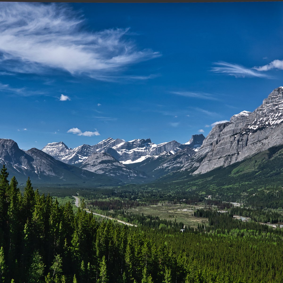 Lodgepole pine forests have historically been thought to burn infrequently. Recent work from LIM researchers in the #Alberta #foothills suggests otherwise - burns were frequent, likely due to #CulturalBurning, and forests more resilient than presumed: ow.ly/voM550uRU2J