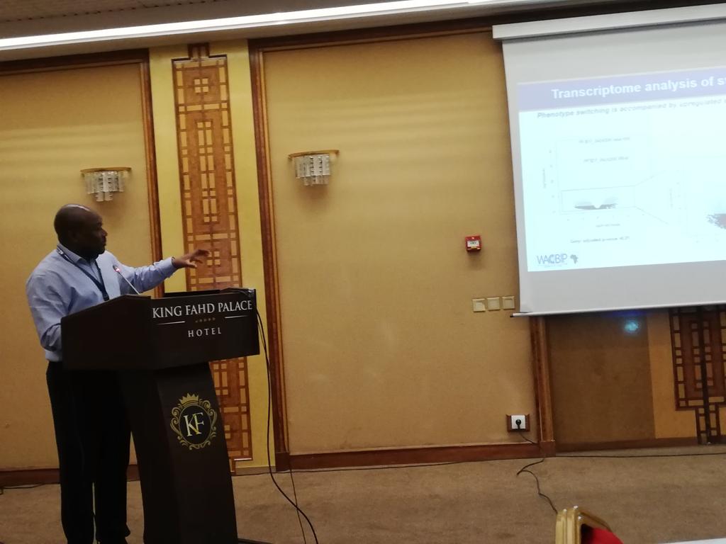 Samuel MA tweet media