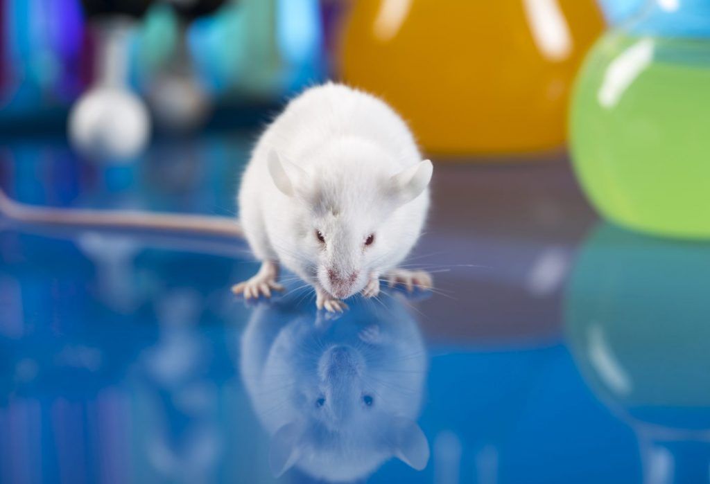 New Post: Kinin Receptors Help Drive Fibromyalgia Pain, Mouse Study Suggests buff.ly/2k9SGGd