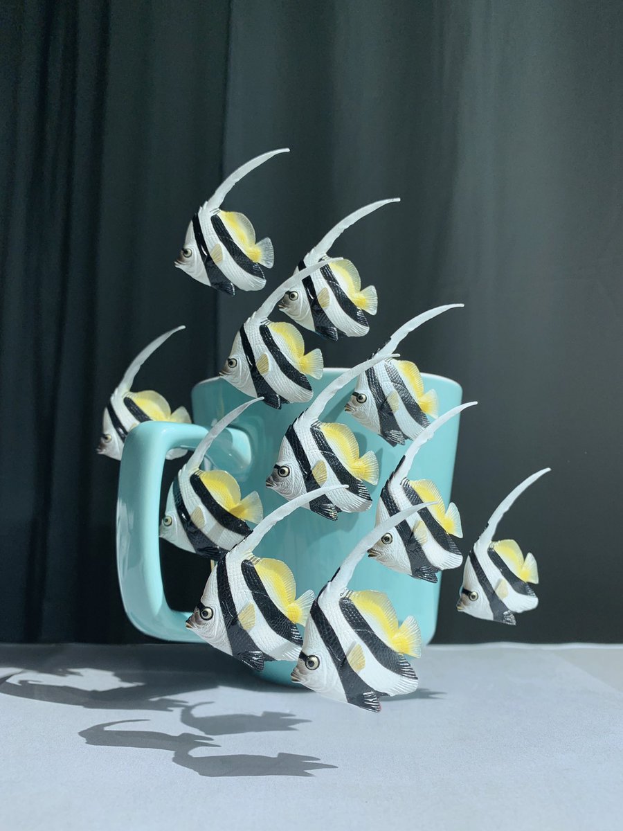derricklin's tweet photo. We survive in the workplace by sticking together in a large group. 🐠
.
. 
.
#miniature #agencylife #angelfish #fish #survival #aquarium #safetyinnumbers #pnw #seattle #miniaturefigures #shotoniphone #FigurativelySpeaking #ミニチュア #天使魚 https://t.co/2ZRDhPQtps