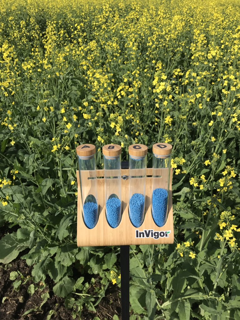 Coming to Leduc #canola tour this morning? <a href="/AlbertaCanola/">Alberta Canola</a>   Learn about #InVigorRATE coming for 2020 season <a href="/TaylorIwasiuk/">Taylor Iwasiuk</a> <a href="/BASFAgro/">BASF Agricultural Solutions</a>