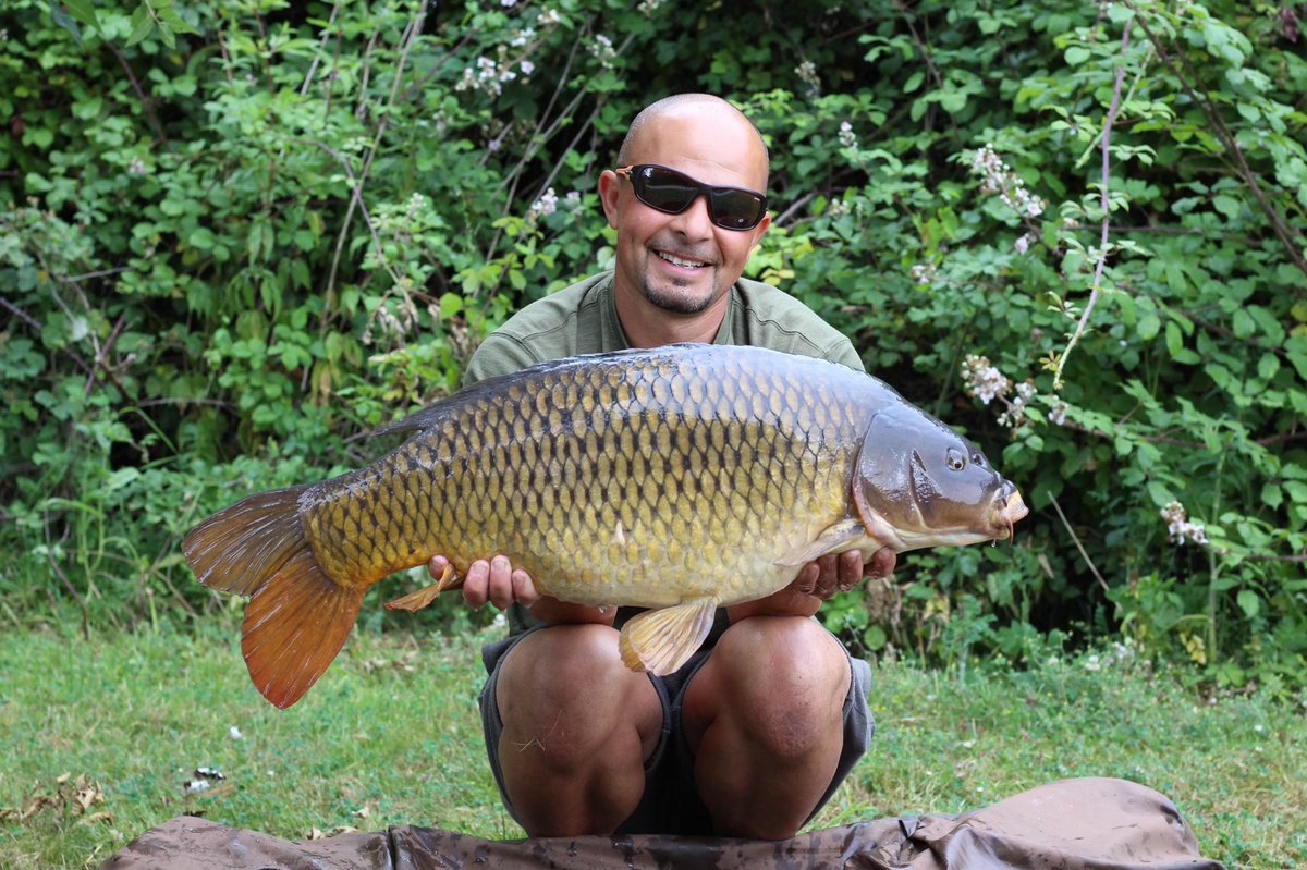 One from the weekend caught on a zig #nashtackle