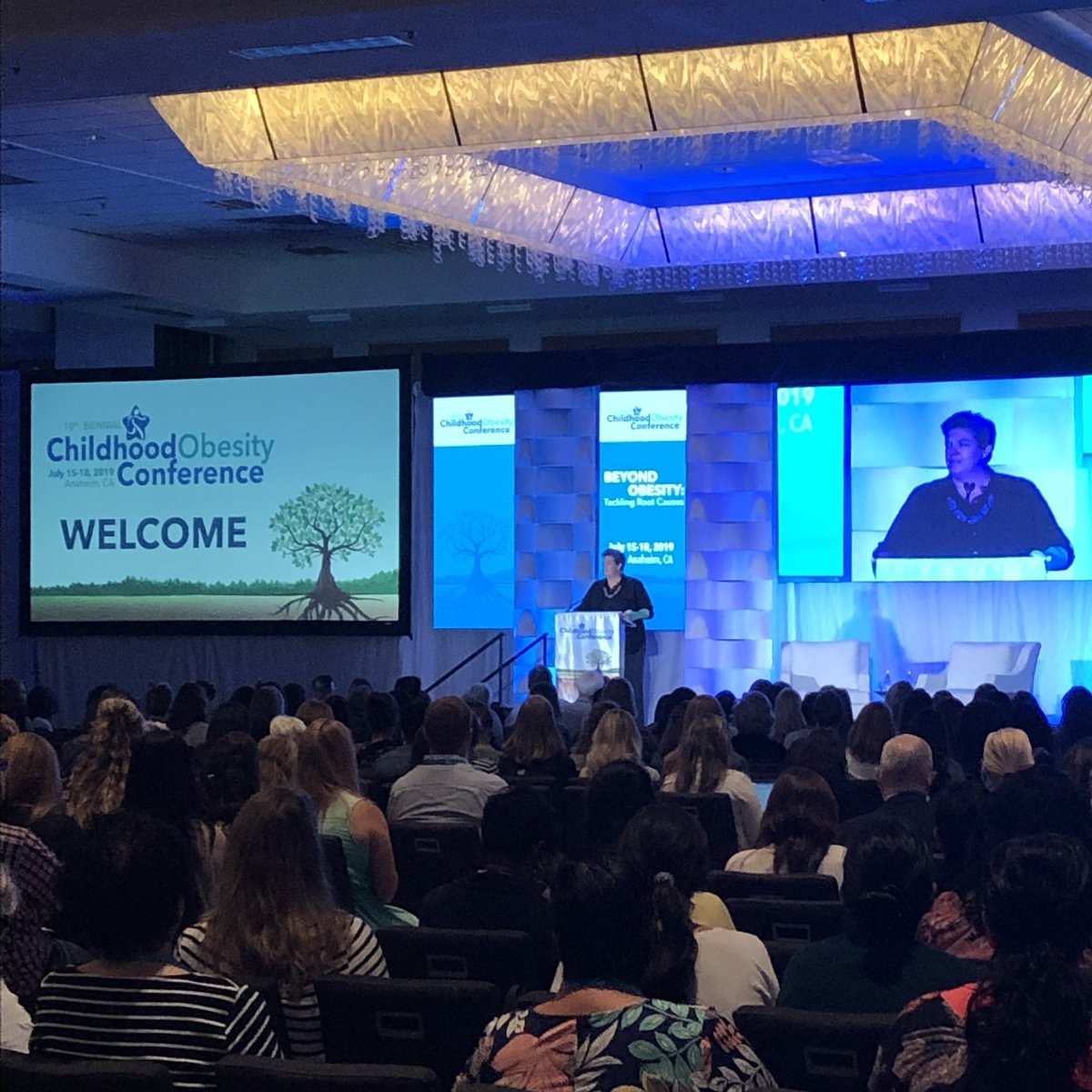 11irises's tweet photo. So glad to hear @ruralglenda rep Cooperative #Extension at the Childhood Obesity Conference! #COC19 https://t.co/HlDeopQU1n