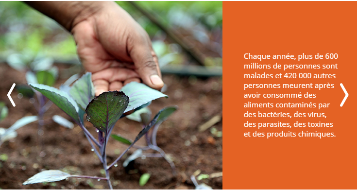 FAOCongo's tweet photo. Un monde #FaimZéro ne peut être atteint que si les aliments consommés sont sans danger.
👉https://t.co/emKOBa9cLY
#FaimZéro #FoodSafety #CodexCAC42 https://t.co/BHUYJ3VeSZ