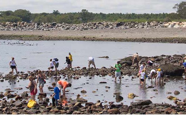 SeacoastSciCtr's tweet image. Just in time for #TransformationTuesday, we've got a new position open  that might just change your life! The Program Manager ensures excellence in content and delivery of our school and visitor programs. More info on this FT, benefits-eligible job: seacoastsciencecenter.org/about/careers-…