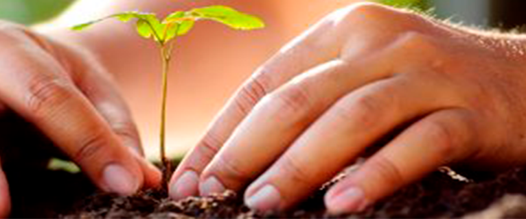 SpaWellMex's tweet photo. @GreenSpaNetwork celebra el #díadelatierra con campaña de #reforestación
https://t.co/HuiyTZFI0H
#spa #wellness #bienestar #green #trees #nature #naturaleza #altruismo #greenspanetwork #weforest #planttrees #GSN
Read #SpaWellnessMexiCaribe
https://t.co/Mnjvr4NP0z https://t.co/tp73bbrG20