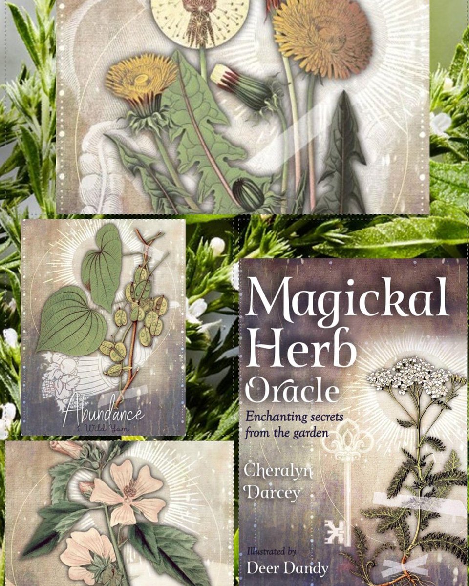 #magickalherboracle #cheralyndarcey #deerdandy #herbs #magickalherbs #oracledeck
