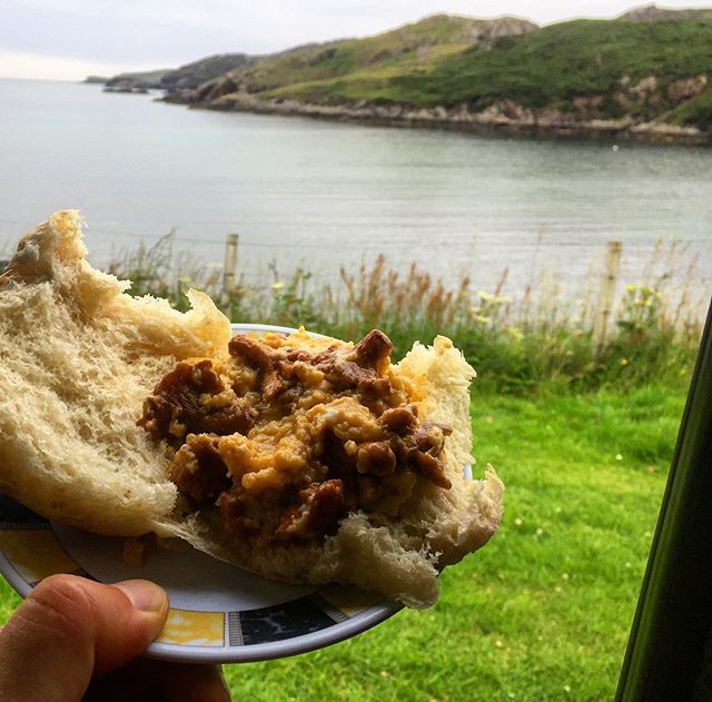markwildfood's tweet photo. Campervan Breakfast of Champignons, Scourie...
Hard to beat chanterelles in snotty scrambled eggs, bit of Mull cheddar melted through...and a #shitbread morning roll to vaguely contain it in a pappy way. Iโm sure real bread is available in #sutherland, bโฆ https://t.co/3AgEuicWhZ https://t.co/LzDHQWhNCA
