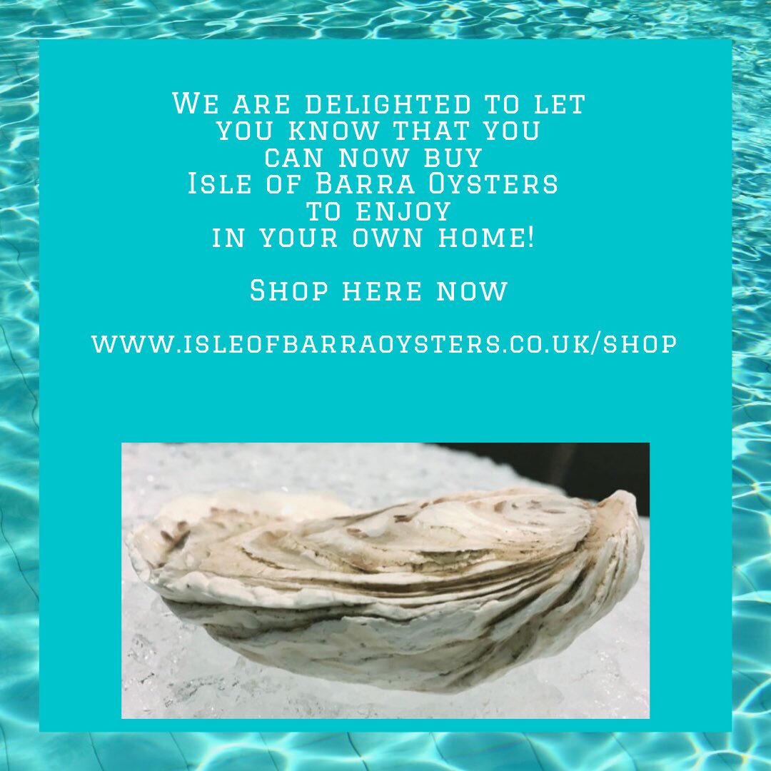 Isle of Barra Oyster (@barraoysters) on Twitter photo 