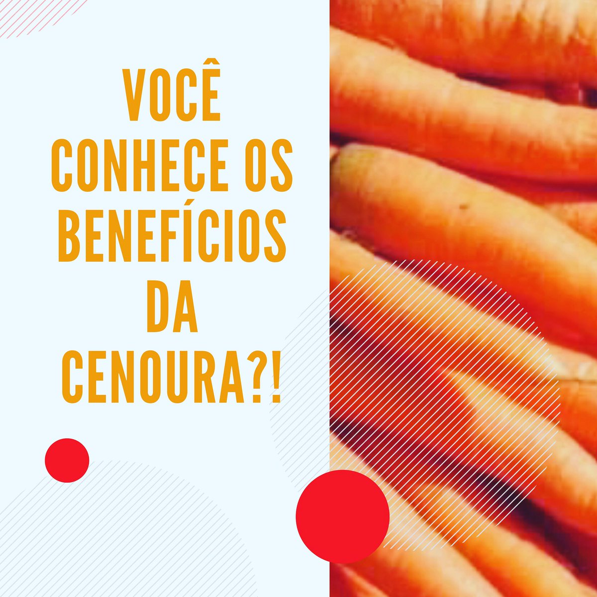 hortaxeoficial's tweet photo. A cenoura é um dos alimentos mais ricos em betacaroteno, um poderoso antioxidante. Fonte de fibras, minerais como fósforo, potássio, cálcio e sódio e vit A, vit B2, vit B3 e vit C. Ajuda no bronzeado, proteje a pelo, forte aliada da digestão e visão! https://t.co/cdhv828qkn