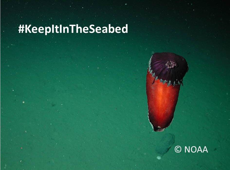 SeasAtRisk's tweet image. Tune in to LIVE streaming of 25th Session of @ISBAHQ’s Council 15-19 July ➡️isa.org.jm/sessions/25th-… 
Follow discussions on the #deepsea #MiningCode and more #ISBA25 
#DeepSeaMining? #Keepitintheseabed! #ProtectTheOceans