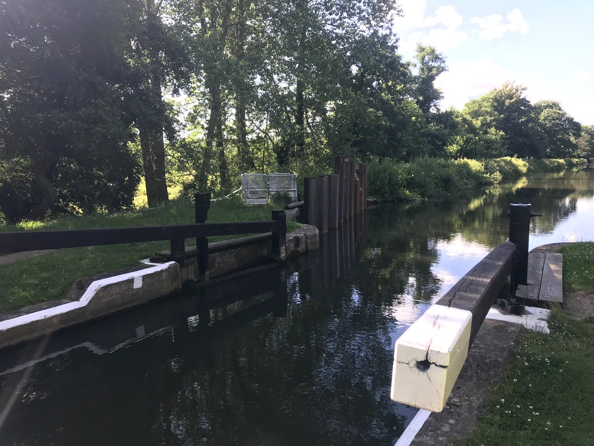 Hardy Services 💧 tweet media