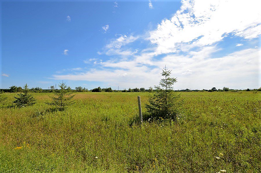 TaunyaMB's tweet photo. HOT PROPERTY! Pt Lt7 6Th Line (Part 4) Line, Amaranth -$359,900 - 2.46 Acres Of Stunning Country Land Just Waiting For You! The Property Is Located Within A 10 Minute Drive To Orangeville,15 Minutes To Shelburne. #orangevillerealestate #vacantland #dufferincounty https://t.co/ksGJLIH9gX